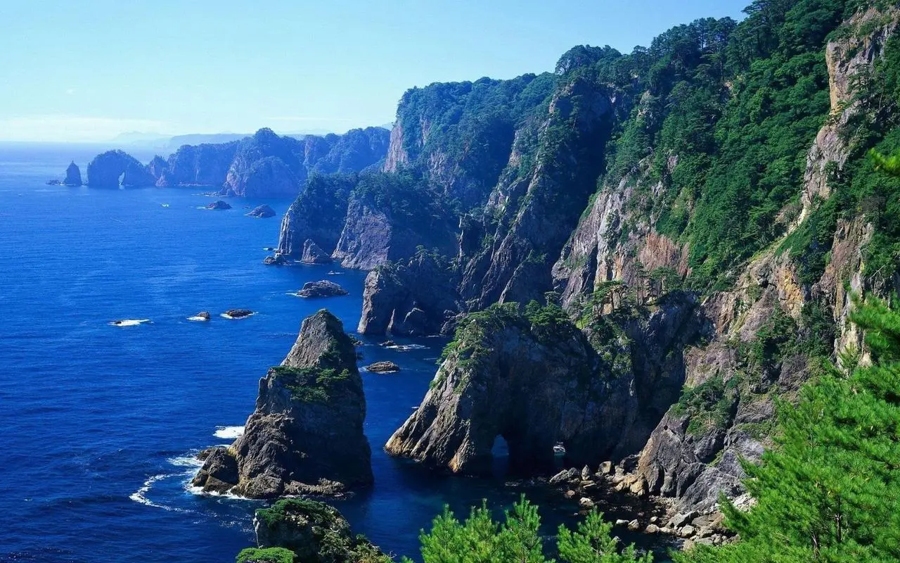 智能高精度全自动